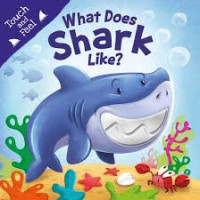 Image of What Does Shark Like?